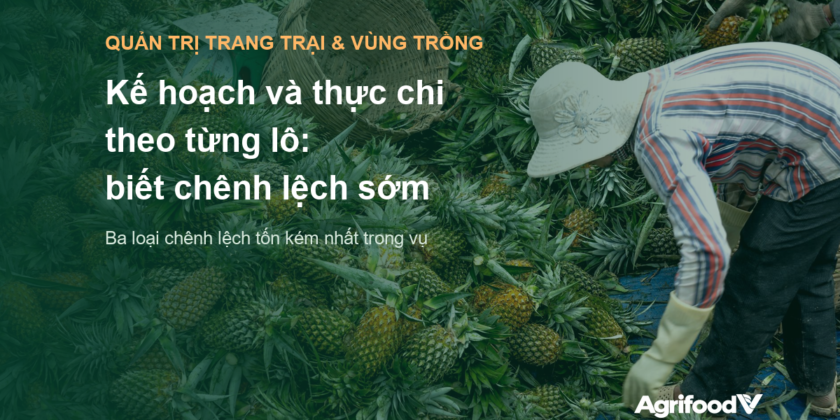 Kế hoạch và thực chi theo từng lô: vì sao vùng nguyên liệu biết chênh lệch quá muộn