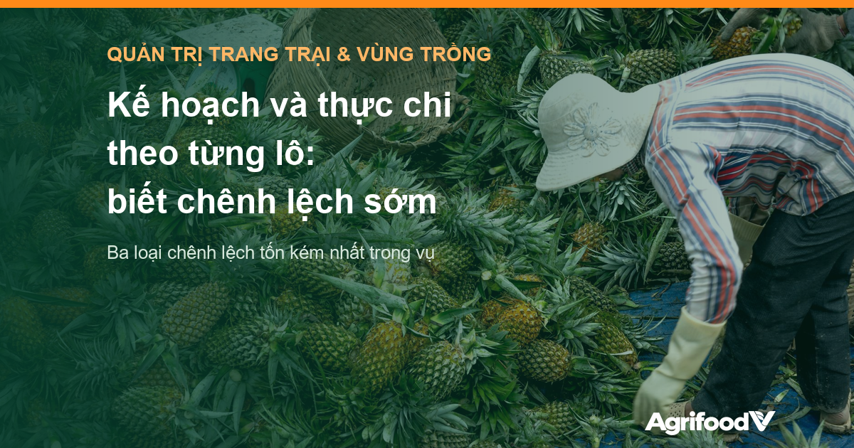 Kế hoạch và thực chi theo từng lô: vì sao vùng nguyên liệu biết chênh lệch quá muộn