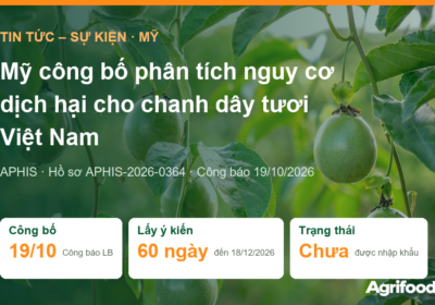 Mỹ