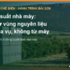 Công suất nhà máy chế biến tính từ vùng nguyên liệu và mùa vụ, bài 3 hành trình xây nhà máy