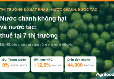 Nước