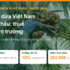 Nước dừa Việt Nam xuất khẩu: thuế, tiêu chuẩn, vùng trồng tại EU, Mỹ, Nhật, Hàn, Trung Quốc, UAE, Ả Rập Xê Út