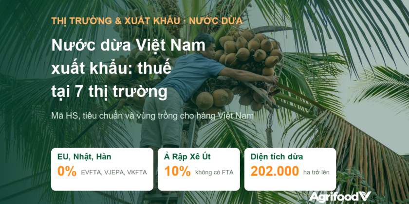 Nước dừa Việt Nam xuất khẩu: thuế, tiêu chuẩn và vùng trồng tại 7 thị trường