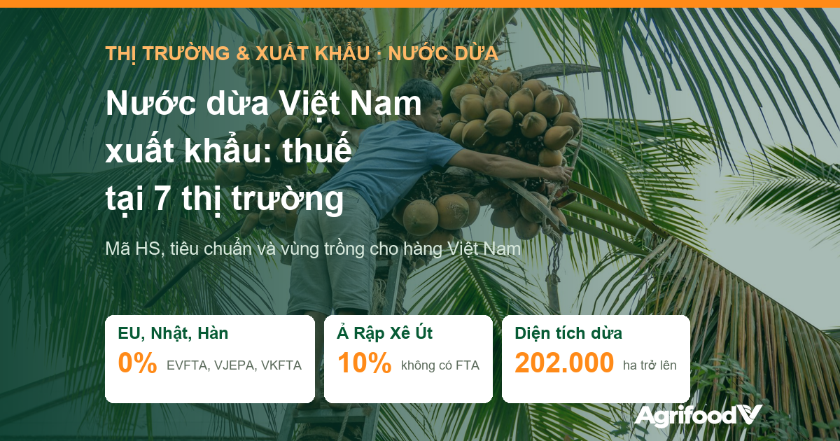 Nước dừa Việt Nam xuất khẩu: thuế, tiêu chuẩn và vùng trồng tại 7 thị trường