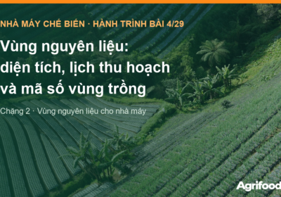 Vùng