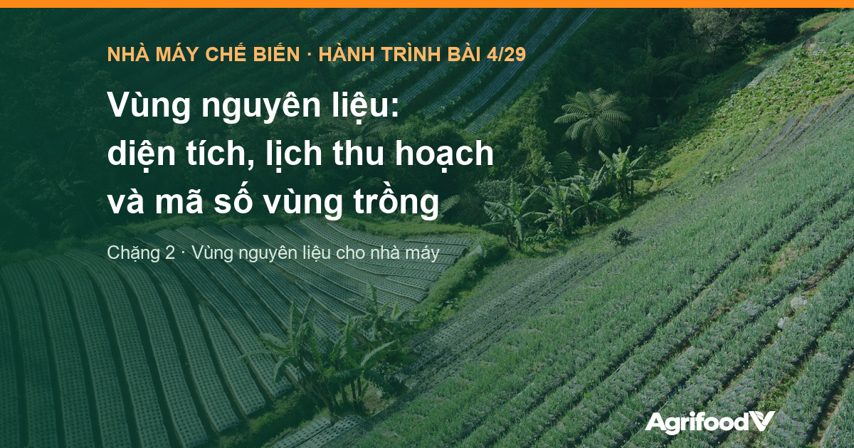 Vùng nguyên liệu cho nhà máy: diện tích, lịch thu hoạch và mã số vùng trồng
