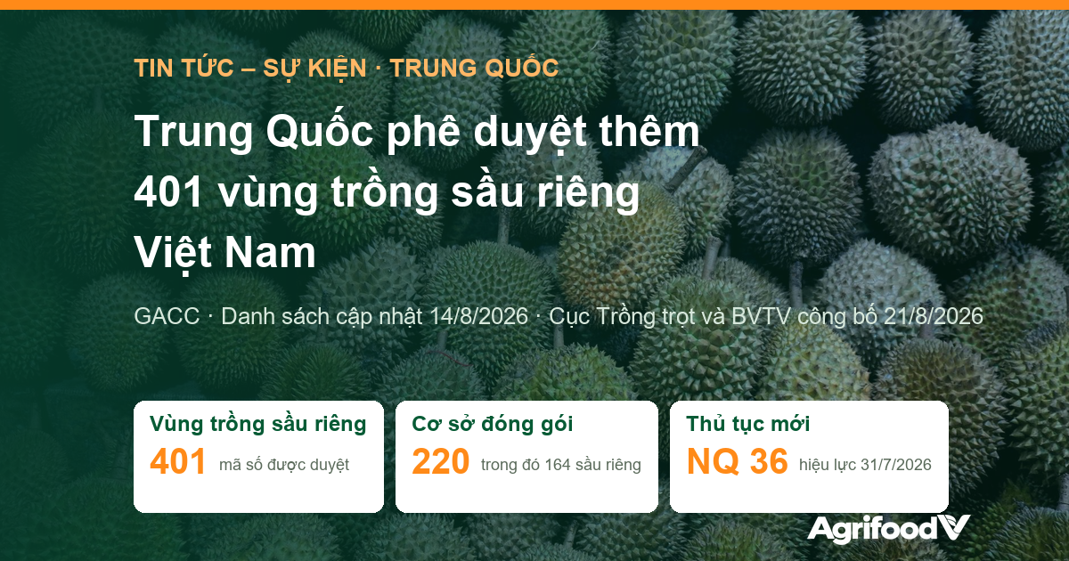 Trung Quốc phê duyệt 401 vùng trồng sầu riêng Việt Nam đợt 14/8/2026: danh sách và thủ tục mã số mới