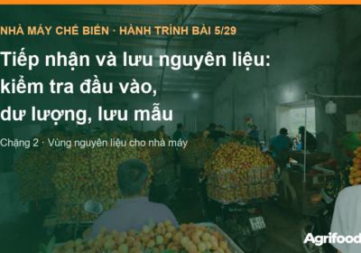 Tiếp