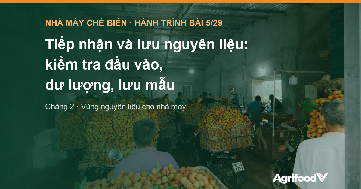 Tiếp nhận và lưu nguyên liệu: kiểm tra đầu vào, dư lượng, lưu mẫu
