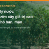 Vườn cây ăn quả có ống tưới nhỏ giọt trong mùa khô