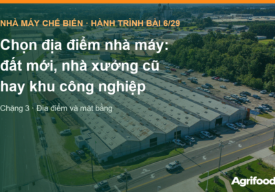 Chọn