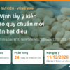 Dự thảo quy chuẩn vùng Vịnh GSO 788 về nhân hạt điều: độ ẩm tối đa 5%, 24 hạng, hạn góp ý 11/12/2026