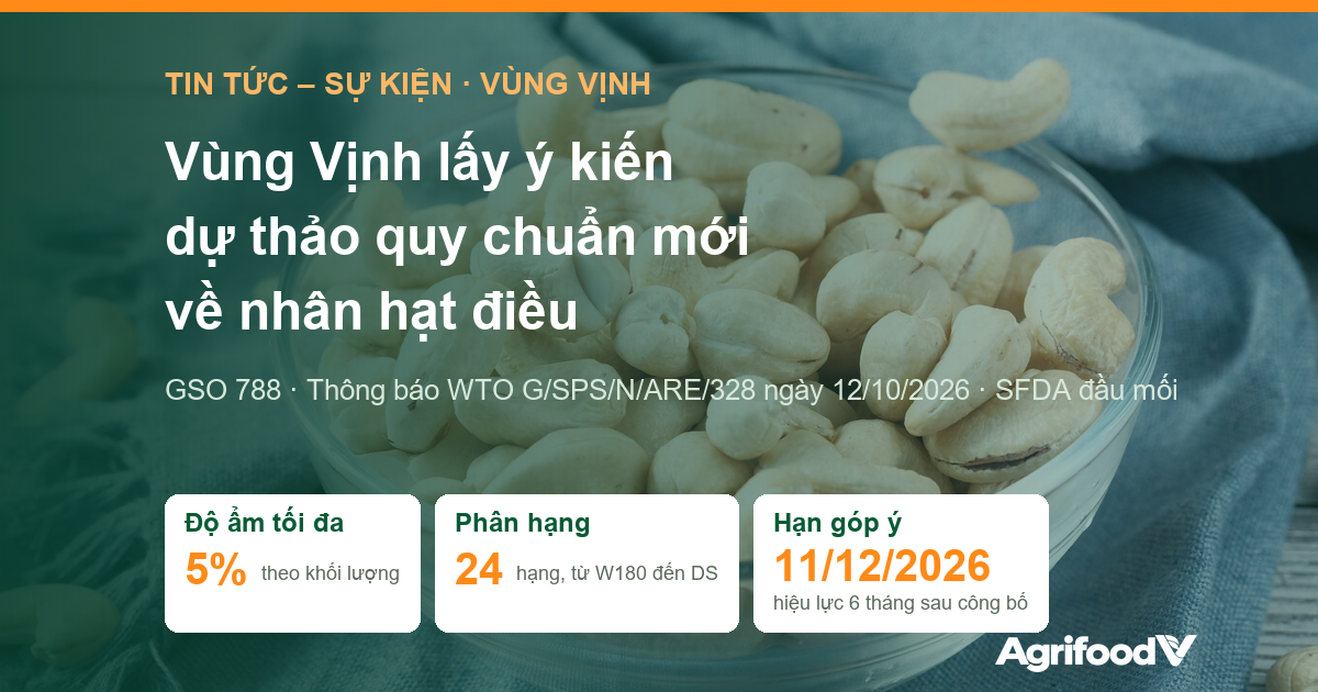 Các nước vùng Vịnh lấy ý kiến dự thảo quy chuẩn nhân hạt điều GSO 788, hạn góp ý 11/12/2026