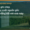 Thùng chứa quả xếp bên rìa vườn cây ăn quả, minh họa truy xuất nguồn gốc từ vùng trồng tới nhà máy
