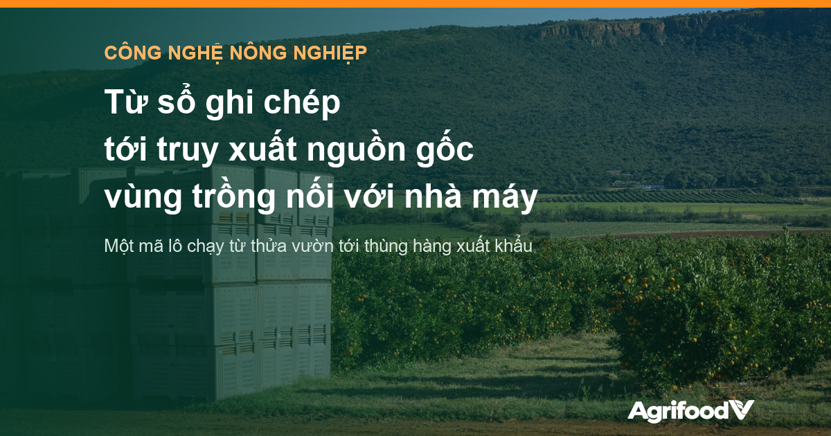 Từ sổ ghi chép tới truy xuất nguồn gốc: nối dữ liệu vùng nguyên liệu với nhà máy