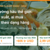 Đĩa hàu tươi và tôm trên đá lạnh, minh họa bài thị trường hàu thế giới: ai sản xuất, ai mua và giá theo từng dạng sản phẩm của AgrifoodV
