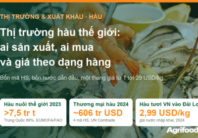 Thị