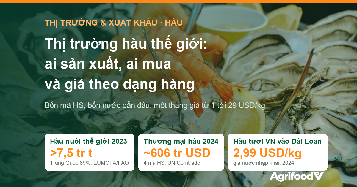 Thị trường hàu thế giới: ai sản xuất, ai mua và giá theo từng dạng sản phẩm