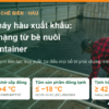 Công nhân xếp khay trong bể nuôi hàu, minh họa bài quy trình nhà máy hàu xuất khẩu sáu chặng của AgrifoodV