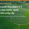 ESG và phát thải phạm vi 3: yêu cầu của người mua nước ngoài với nhà cung cấp nông sản Việt Nam