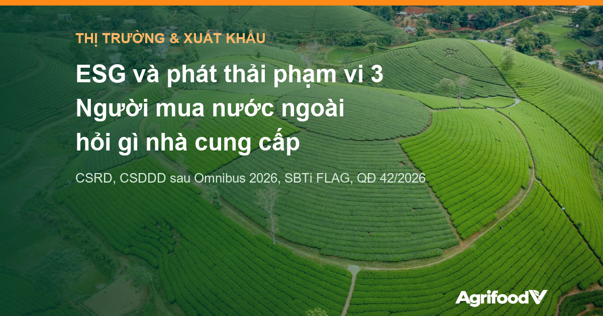 ESG và phát thải phạm vi 3: người mua nước ngoài đòi hỏi gì ở nhà cung cấp nông sản Việt Nam