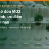 Cấy mô dứa MD2: quy trình, ưu điểm và giới hạn cần biết trước khi mua cây – AgrifoodV