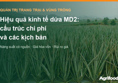 Hiệu
