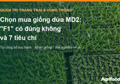 Chọn