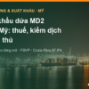 Xuất khẩu dứa MD2 sang Mỹ: chưa mở cửa cho quả tươi, thuế, an toàn thực phẩm và đối thủ – AgrifoodV