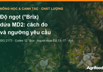 Độ