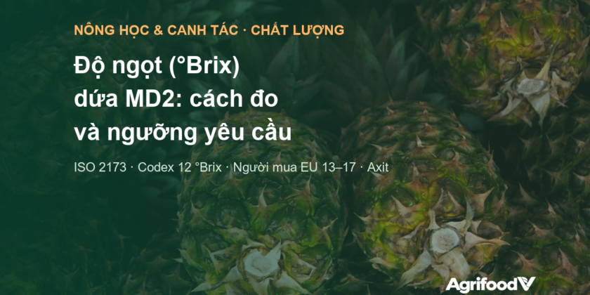Độ ngọt (°Brix) dứa MD2: cách đo, ngưỡng của Codex và người mua, khác biệt với Cayen