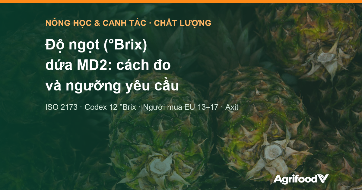 Độ ngọt (°Brix) dứa MD2: cách đo, ngưỡng của Codex và người mua, khác biệt với Cayen