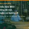 Xuất khẩu dứa MD2: thị trường nào đã mở cho dứa tươi Việt Nam, tiêu chuẩn và hướng đi – AgrifoodV
