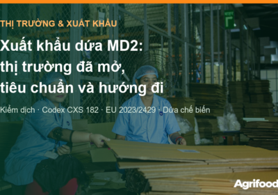Xuất