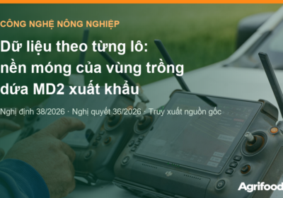 Dữ