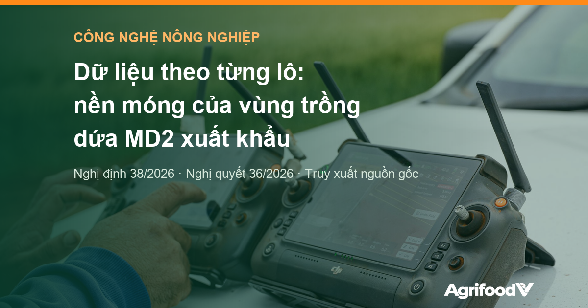 Dữ liệu theo từng lô: nền móng của vùng trồng dứa MD2 xuất khẩu