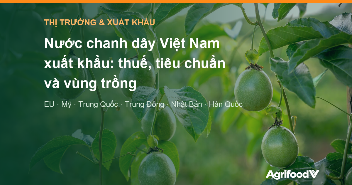 Nước chanh dây Việt Nam xuất khẩu: thuế, tiêu chuẩn và vùng trồng tại 6 thị trường