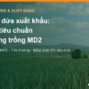 Nước dứa xuất khẩu: thuế, tiêu chuẩn và vì sao vùng trồng MD2 là điều kiện đầu tiên – AgrifoodV