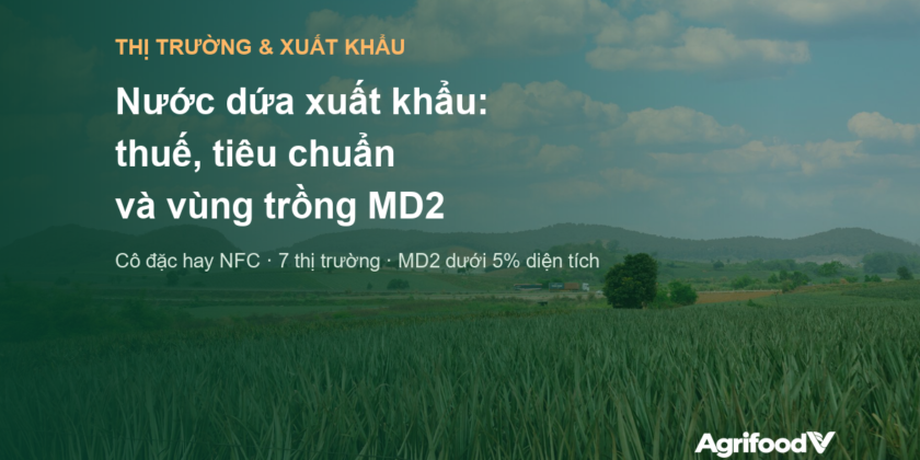 Nước dứa xuất khẩu: thuế, tiêu chuẩn và vì sao vùng trồng MD2 là điều kiện đầu tiên