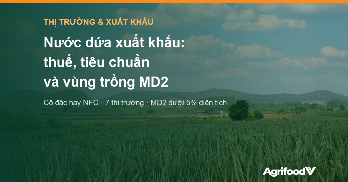 Nước dứa xuất khẩu: thuế, tiêu chuẩn và vì sao vùng trồng MD2 là điều kiện đầu tiên