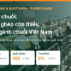 Puree chuối: thị trường, ứng dụng và vì sao Việt Nam cần nhà máy puree chuối xuất khẩu – AgrifoodV