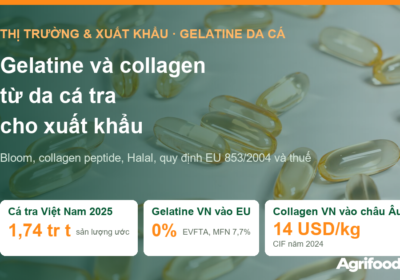 Gelatine