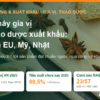 Hồi, quế và đinh hương trên thớt gỗ, minh họa bài nhà máy gia vị và thảo dược xuất khẩu đạt chuẩn EU, Mỹ, Nhật của AgrifoodV