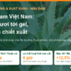 Cây nha đam lá xanh mọng trong vườn, minh họa bài nha đam Việt Nam: từ lá tươi tới gel, bột và chiết xuất cho thị trường thực phẩm, mỹ phẩm cao cấp của AgrifoodV