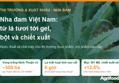 Nha