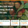 Chùm vải thiều chín đỏ và lá xanh, minh họa bài vải thiều Việt Nam: thị trường, thuế, tiêu chuẩn và chế biến sâu của AgrifoodV