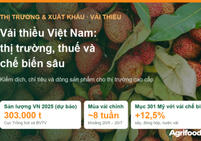 Vải