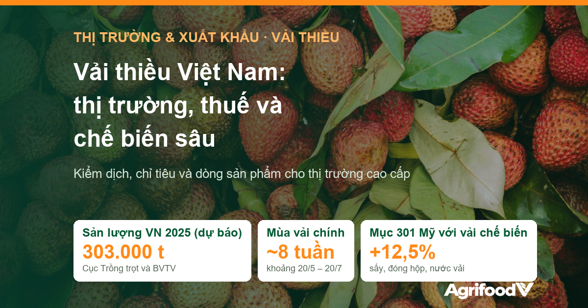Vải thiều Việt Nam: thị trường, thuế, tiêu chuẩn và chế biến sâu cho xuất khẩu cao cấp