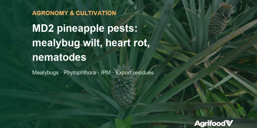 MD2 pineapple pests and diseases: mealybug wilt, heart rot, nematodes