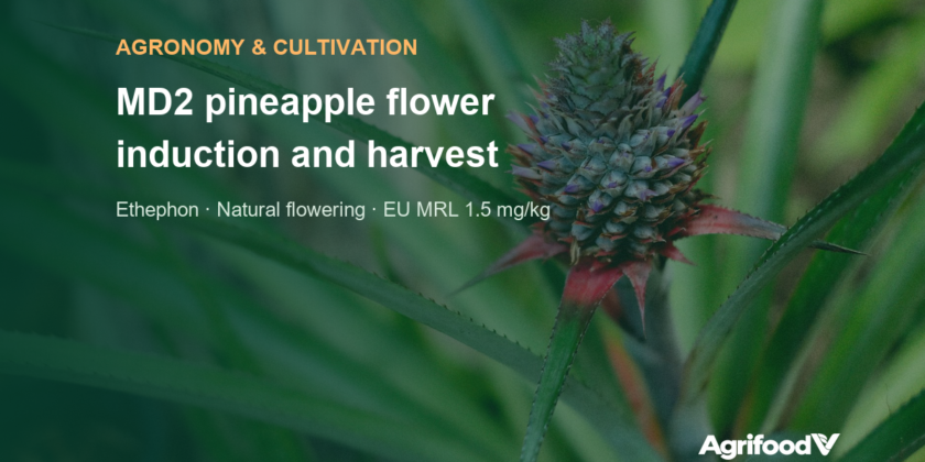 MD2 pineapple flower induction and harvest: ethephon, natural flowering